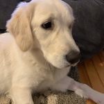 Kelly McIntyre Berge - @tikell19 - Instagram
