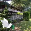 kelliemclendon - @kelliemclendon - TikTok