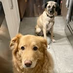 Kelli Mooney - @huntermygirl - Instagram