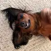 kellimooney - @kellimooney - TikTok