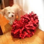 Kelly Morin - @damianstwa - Instagram