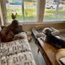 Kelli Nitschke - Facebook