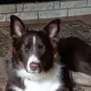 Kelly Olsen - @kelly.olsen6 - TikTok