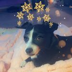 Kelli Ann Pence - @kelli_ann_1986 - Instagram