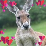 Kelli-Anne Petersen - @kel251267 - Instagram