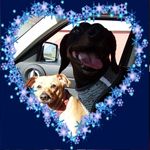 Kelli Petersen - @kelli.petersen.773 - Instagram