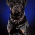 Kellie Pitts - Facebook
