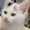 Kelly randolph843 - @kelly.randolph843 - TikTok