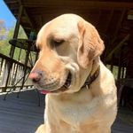 Kelly Sears - @chatzwithritz - Instagram