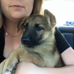 Kelli Sellers - @kelli_sellers - Instagram