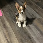 Kelly Sellers - Facebook