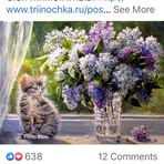 Kelli Shoemaker - Facebook