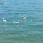 Kelly Shupe - @busertingprocen449 - Instagram