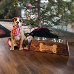 Kelli Simpson - @bellascauseforpaws - Instagram