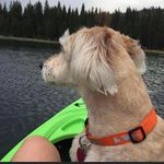 Kelli Small Silvestri - @kelli_silvestri - Instagram