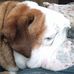 Kelli Smallwood - Facebook