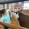 kellismart6 - @kellismart6 - TikTok