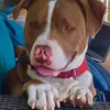 kelli swartz - @user79543747 - TikTok