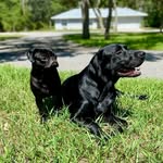 Kelly Tapp -Daugherty - @daughertykellytapp - Instagram