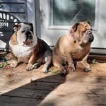 Kelli R. Tate - @mommakelli66 - Instagram