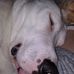 Kellie Trombley - Facebook