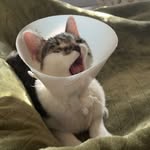 Kelli - @kelli__vincent - Instagram