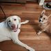 Kelley Wallen - Facebook