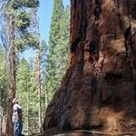 Kelly Wallen - @wallen_kelly - Instagram