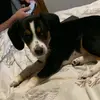 Kelkel - @kelliware1 - TikTok