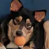 Kellie Webster - @kellie.webster66 - TikTok