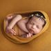 Kelli Willoughby Photography - Facebook