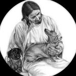 Kelly Winstead Johnson - @kellywinsteadjohnsonn - Instagram