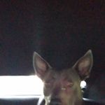 Kellie Allison - @bestiesalways453 - Instagram