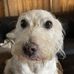 Kellie Arndt - Facebook