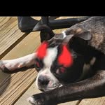 Kellie Ashbaugh - @kellievashbaugh - Instagram