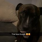 Kellie Marie Earnshaw - @kellieashby85x - Instagram