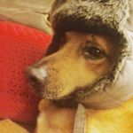 Kellie Barker - @kbarks205 - Instagram