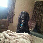 Kelly Barron - @kelly.barron.71 - Instagram