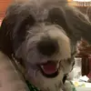 Crazy Rochester - @kellielovelacebeam - TikTok