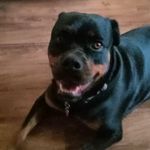Kellie Beam - @beamkellie63 - Instagram