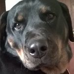 Kellie Beam - @beam.kellie - Instagram