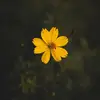 Kellie Beam - @kellielynbeam - TikTok
