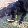 kellie belcher - @kellie.belcher91 - TikTok