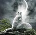 Kellie Berry - Facebook