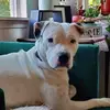 kellieberry4 - @kellie.berry8 - TikTok