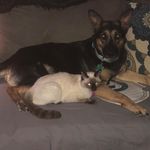 Kellie Bower - @kellie.bower.1964 - Instagram