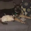 kelliebower765 - @kelliebower765 - TikTok