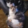 misskellie - @kellieboyercourtn - TikTok