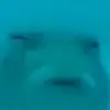 BruceKellie - @brucekellie - TikTok