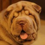 Kellie Bruce - @kellie7616 - Instagram